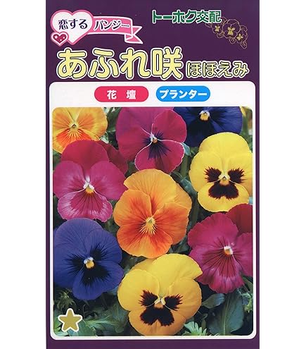 Amazon.co.jp: 種 花たね 日本朝顔 薄青 1袋（10粒) / 花種