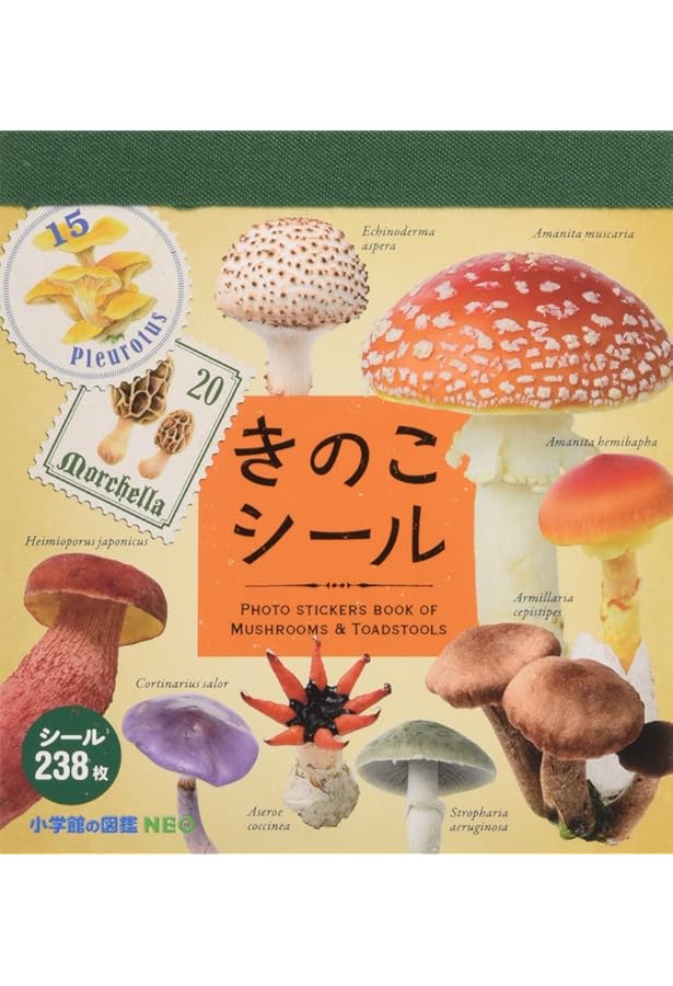 きのこの絵本: ちいさな森のいのち (ハッピーオウル社のしぜんのほん