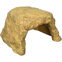 Amazon.co.jp: EXO TERRA (エキゾテラ) フィーディングディッシュS