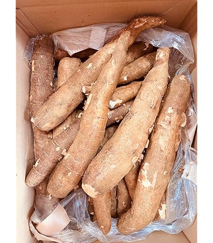 Amazon.co.jp: MDSTORE ベトナム産ヒカマ・Vietnam Fresh Jikama・Cu