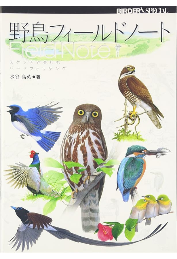 野鳥フィールドスケッチ (BIRDERスペシャル) | 水谷 高英 |本 | 通販