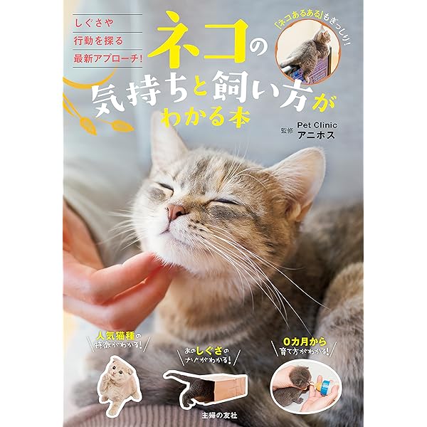 Amazon.co.jp: 獣医にゃんとすの猫をもっと幸せにする「げぼく」の
