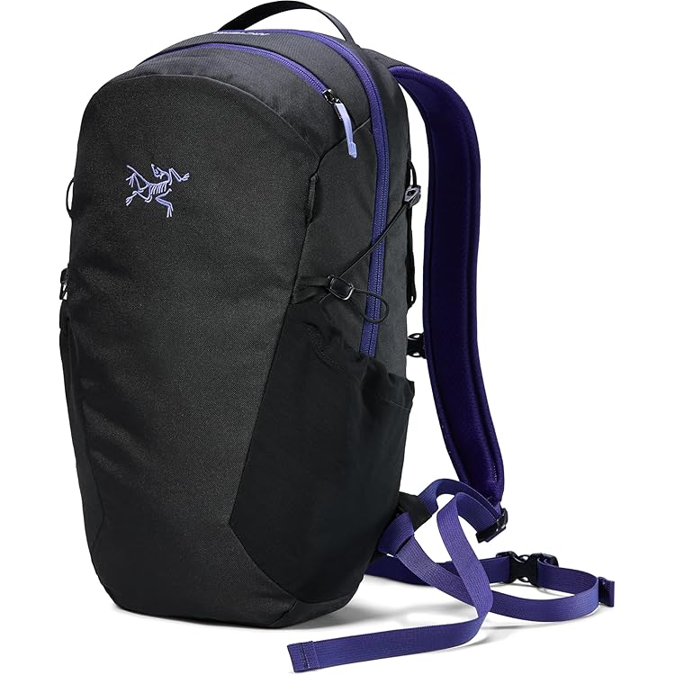 美品国内正規品　アークテリクス　マンティス16 rune Amazon.co.jp: [アークテリクス] ARCTERYX マンティス16バックパック