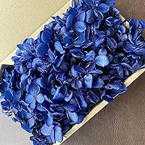Amazon | プリザーブドフラワー ピラミッドアジサイ ネイビーブルー