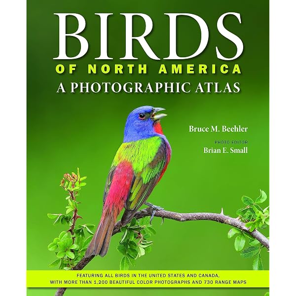 Birds of North America: Western Region : Alsop, Fred: Amazon.sg: Books