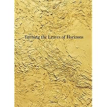 Amazon.co.jp: Nerhol 2007-2024 : Nerhol, 伊藤俊治, 光田ゆり, 石津