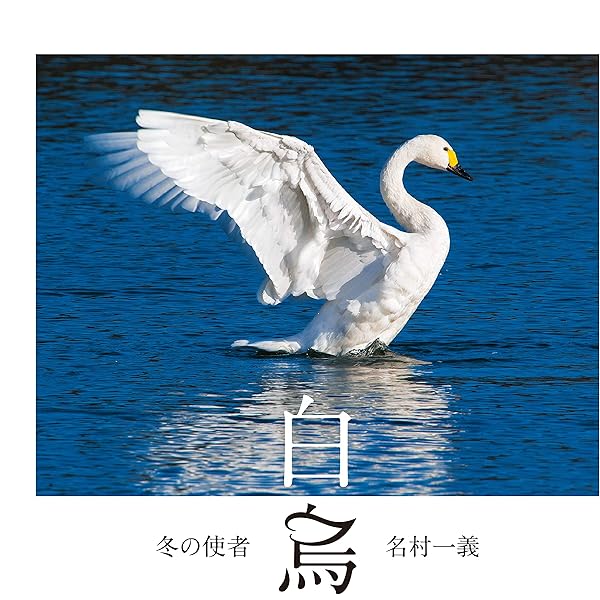 白鳥 (講談社MOOK Quarkスペシャル) | 嵯峨 悌二 |本 | 通販 | Amazon