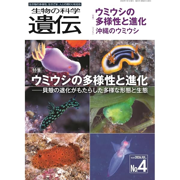 新訂 タカラガイ・ブック 日本のタカラガイ図鑑 Cowries of Jpana