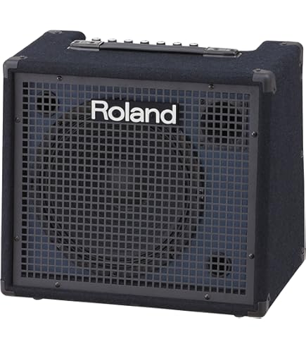 Amazon.co.jp: Laney (レイニー) キーボードアンプ 3チャンネル 5 