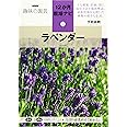 ラベンダー (NHK趣味の園芸 12か月栽培ナビ 12)