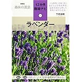 ラベンダー (NHK趣味の園芸 12か月栽培ナビ 12)