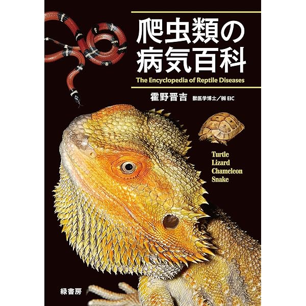 カラーアトラスエキゾチックアニマル 爬虫類・両生類編 | 霍野晋吉