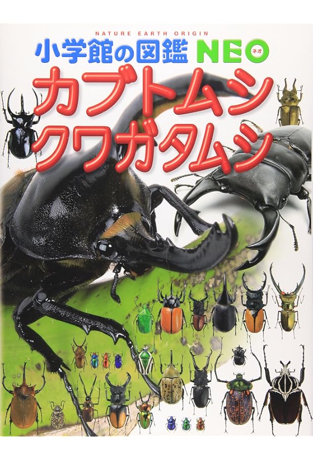 クワガタ・カブトムシ飼育本2冊セット 外国産大図鑑／飼育スーパーテクニック Amazon.co.jp: 『クワカブの部屋』公式 世界のカブトムシ・クワガタ
