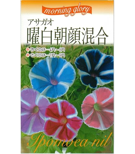 Amazon.co.jp: 種 花たね 日本朝顔 薄青 1袋（10粒) / 花種 アサガオ
