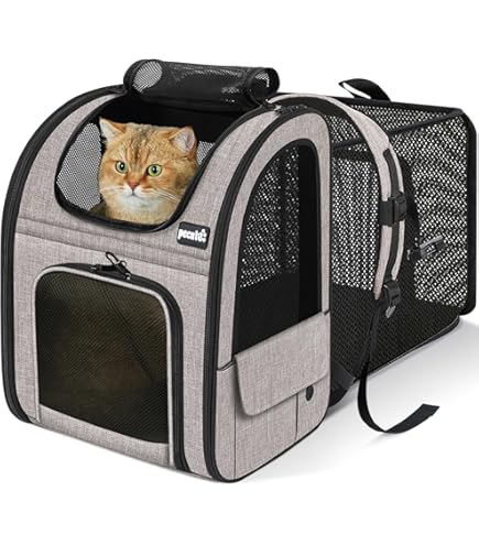 Amazon.co.jp: PFI(ピーファイ) ペットキャリー コンパクトタイプ