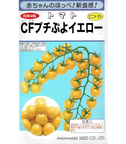自然薯 1本 21時〜30g 一本苗 20本 消毒済み 種芋 yossy様 自然薯 1本