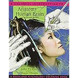 Colorful Introduction to the Anatomy of the Human Brain, A: A Brain and Psychology Coloring Book