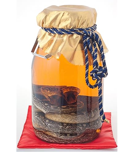 Amazon.co.jp: 【夫婦ハブ入り】 南都酒造 琉球の酒 夫婦ハブ入りハブ