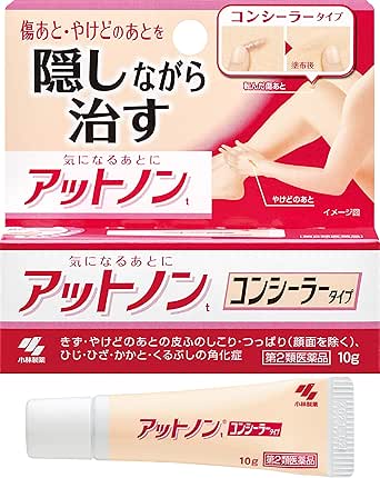Amazon Co Jp 第2類医薬品 アットノンt コンシーラー 10g Health Personal Care