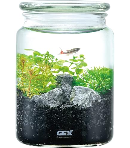 Amazon | KEIAN ミニチュア・ランドスケープ アクアリウム・セット