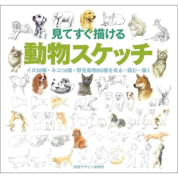 Amazon.co.jp: 動物スケッチ1 小動物編 みみずく アート