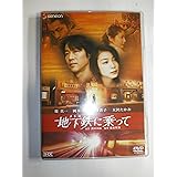 地下鉄(メトロ)に乗って THXスタンダード・エディション [DVD]