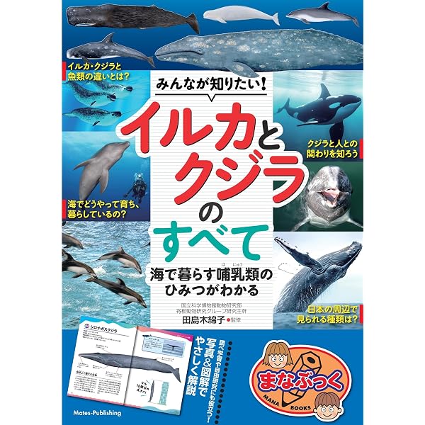 Amazon.co.jp: クジラ・イルカのなぞ99 : 水口 博也: 本
