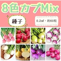 Amazon.co.jp: 【FRANCHI社種子】【112/39】カラフルラディッシュ