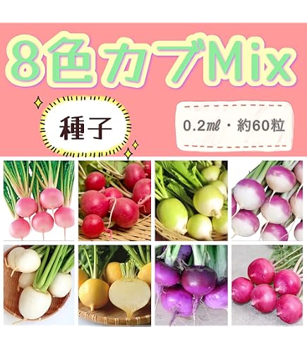 Amazon | 【FRANCHI社種子】【112/39】カラフルラディッシュ | 野菜
