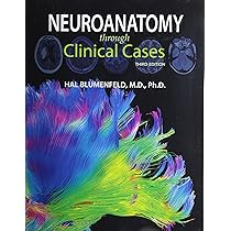 Clinical Neurology and Neuroanatomy: A Localization-Based Approach