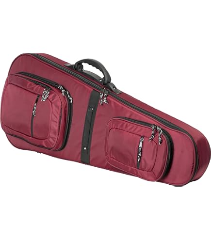 Amazon | SKB ストラット/テレシェイプエレクトリックギター