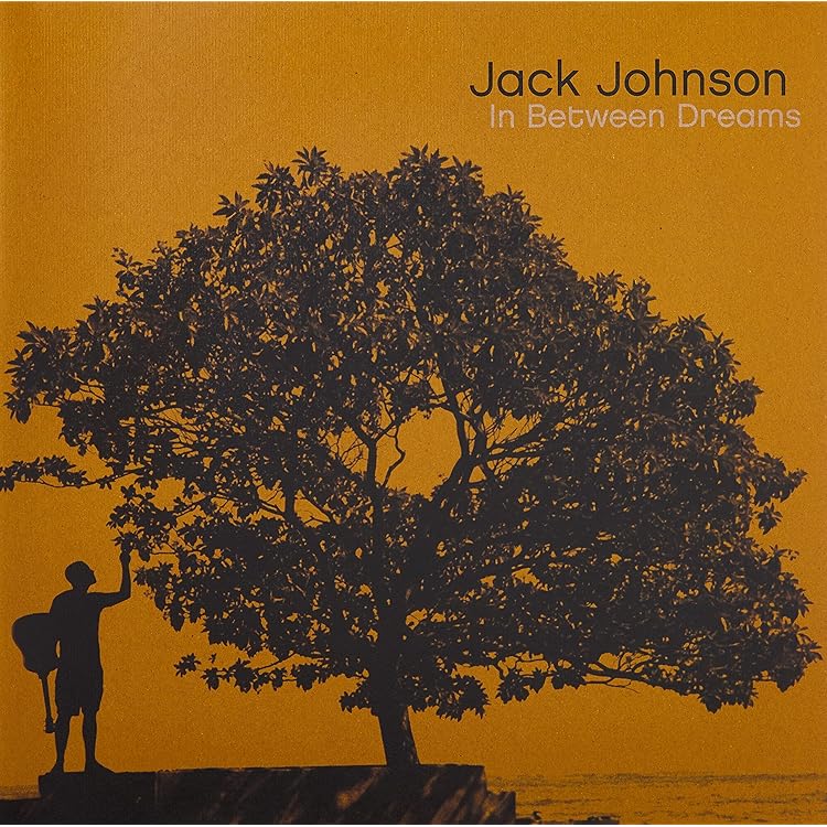 レコードJack Johnson /2枚まとめうり レコードJack Johnson /2枚まとめうり