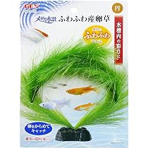 91fRCtwy3ML._AC_UL210_SR210,