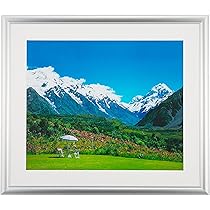 Amazon.co.jp: イワタ 額縁 写真額 マウンテン 四つ切り アルミ