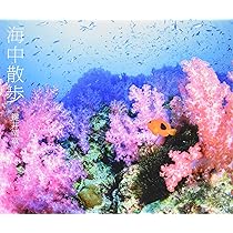鍵井靖章　パイインターナショナル　絶版　三部 彩りの海 | 鍵井靖章 |本 | 通販 | Amazon