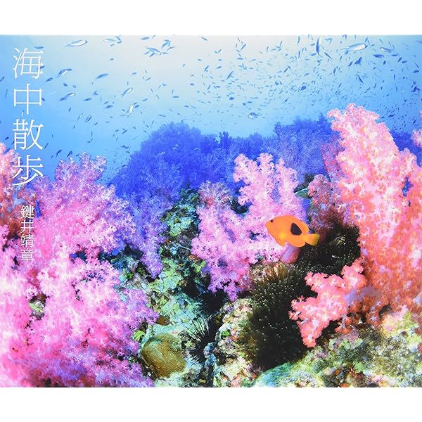 彩りの海 | 鍵井靖章 |本 | 通販 | Amazon