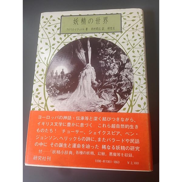 Amazon.co.jp: フェアリー―妖精幻視 : 井村 君江: 本