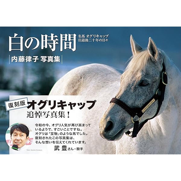 Amazon.co.jp: 銀の夢 オグリキャップに賭けた人々 (講談社文庫) eBook