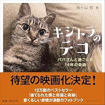 捨てられた僕と母猫と奇跡――うつ病を発症した僕が子猫と引き裂かれた母