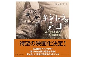 キジトラのテコ　パパさんと過ごした14年の奇跡