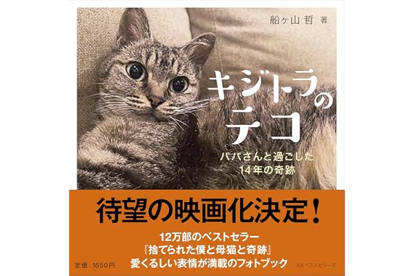 キジトラのテコ　パパさんと過ごした14年の奇跡