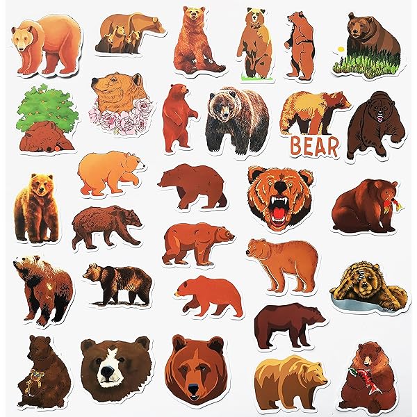 Amazon | 熊シール 2枚セット, アウトドアのシンボルイメージ／ 秋＆冬 