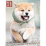 和風総本家 十九代目 豆助 オフィシャル フォトブック