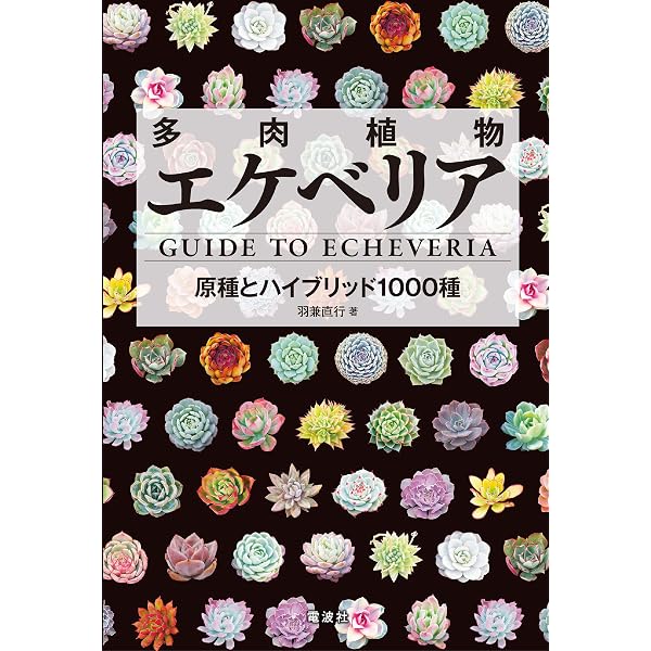 Amazon.co.jp: 実生のススメ 多肉植物 エケベリアハイブリッド図鑑