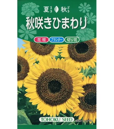 Amazon | サカタのタネ 実咲花7541 ひまわり 巨大輪咲ロシア 00907541 | 花