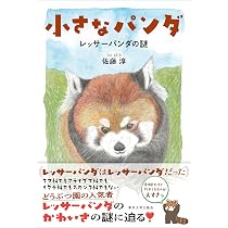 子供の作ったレッサーパンダの絵 91gecX70uOL._AC_UL210_SR210,