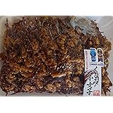 大ヒット商品　くるみ小女子　つくだ煮　1kg　業務用