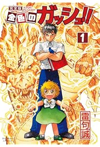 Amazon.co.jp: 金色のガッシュ!! 文庫版 コミック 全16巻完結セット