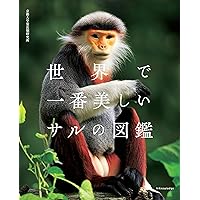 可愛いサルの絵本 可愛いサルの絵本 可愛いサルの絵本 91DkIYLAE9L.jpg