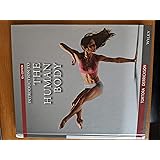 Introduction to the Human Body